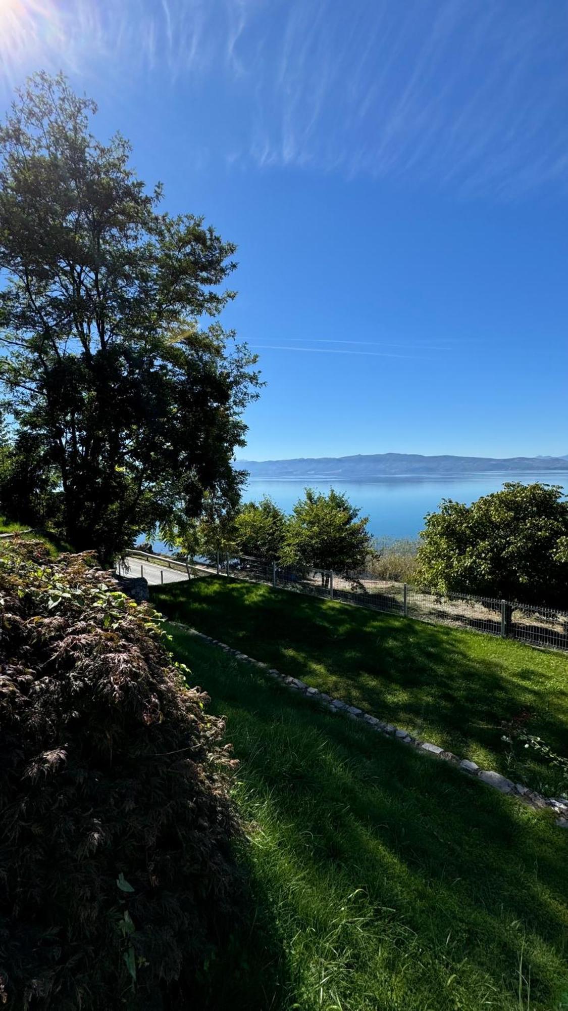 Apartment Villa Balevski Ohrid Exterior photo